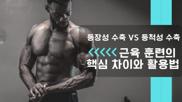 등장성 수축 vs 등척성 수축: 근육 훈련의 핵심 차이와 활용법